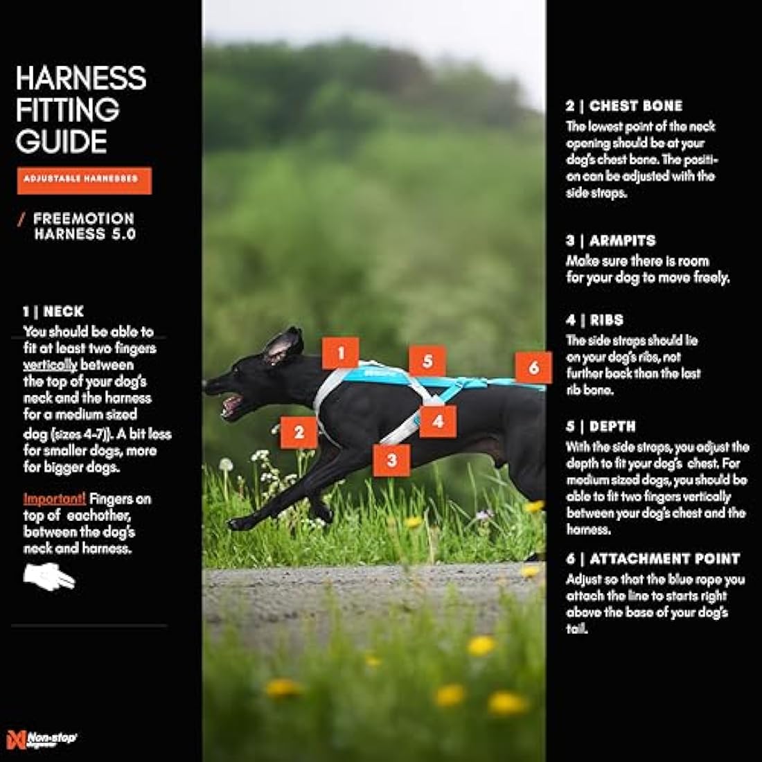 Non-stop dogwear Freemotion harness 5.0 Dog Pulling Harness for Sports like Running, Biking and Skiing with Dogs, Professional Adjustable Dog Harness, Blue/Gray, Size 3