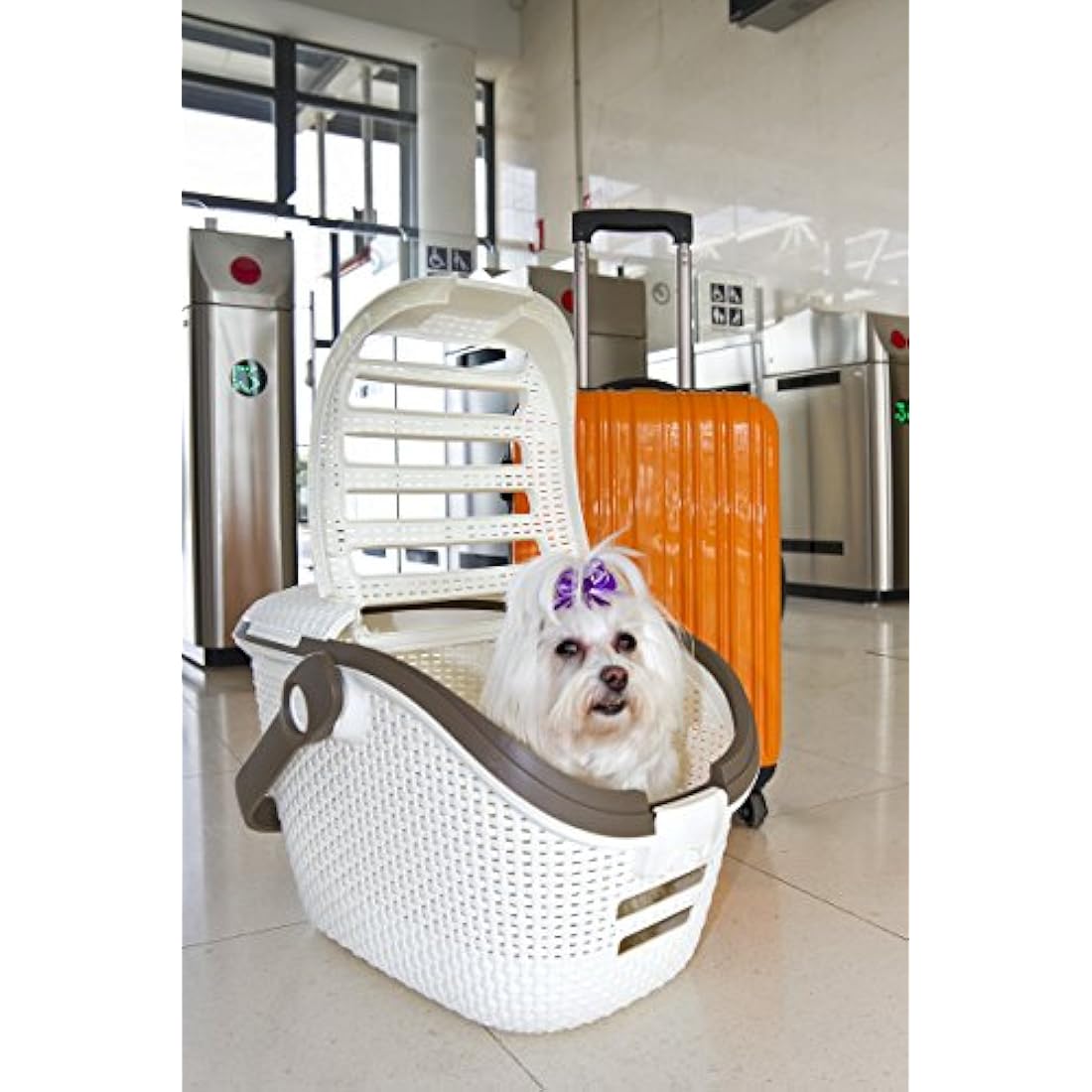 Curver Carrier 51 x 38 x 33 cm, White