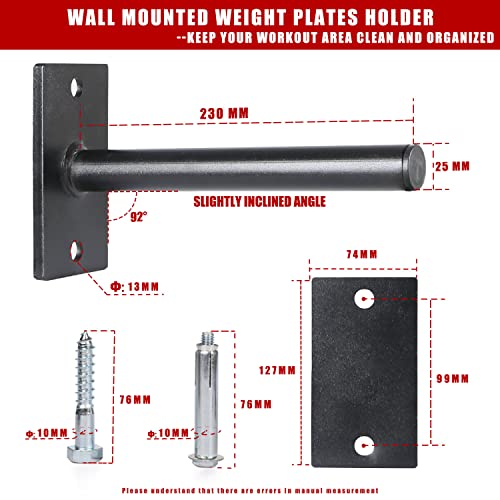 SYL Fitness Wall Mounted Weight Plate Holder - Fits 1" Weight Plates