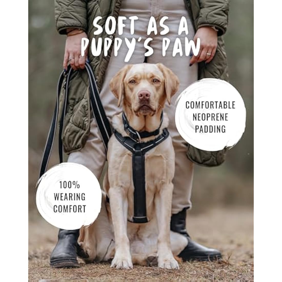 Rudelkönig dog harness Paola - Reflective Chest Harness with Handle - Adjustable large no pull harness for dogs - For large dogs