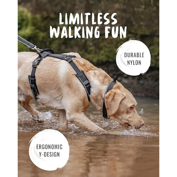 Rudelkönig dog harness Paola - Reflective Chest Harness with Handle - Adjustable large no pull harness for dogs - For large dogs