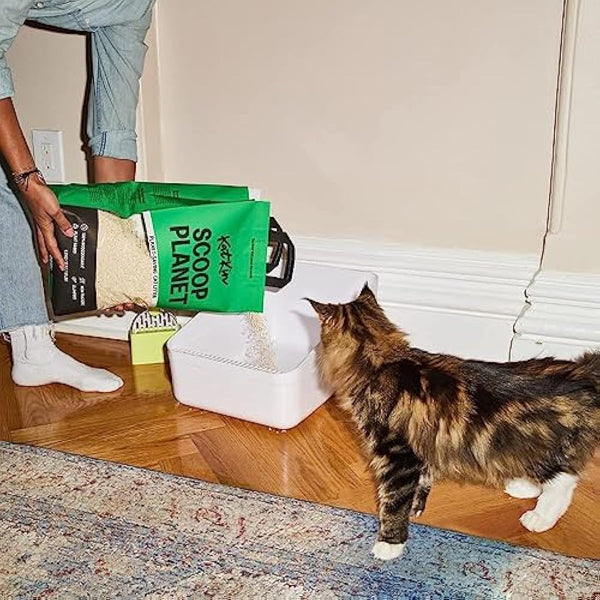 KatKin Scoop Planet Litter (2x4.5kg/12.8L bag): KatKin's upgraded Tofu litter, Plant-Based, 100% Biodegradable, Non-Tracking, Clumping Cat Litter Made With Non-Toxic, Eco-Friendly Pea fibre & Millet
