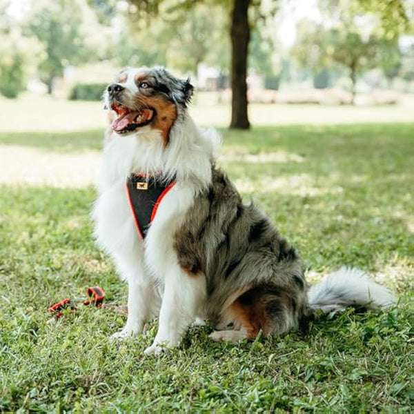 Ferplast Large Size Dog Harness ERGOCOMFORT LARGE, Adjustable Dog Harness, Comfortable, Padded, Double Micro-adjustment Closure, Quick Release, Red