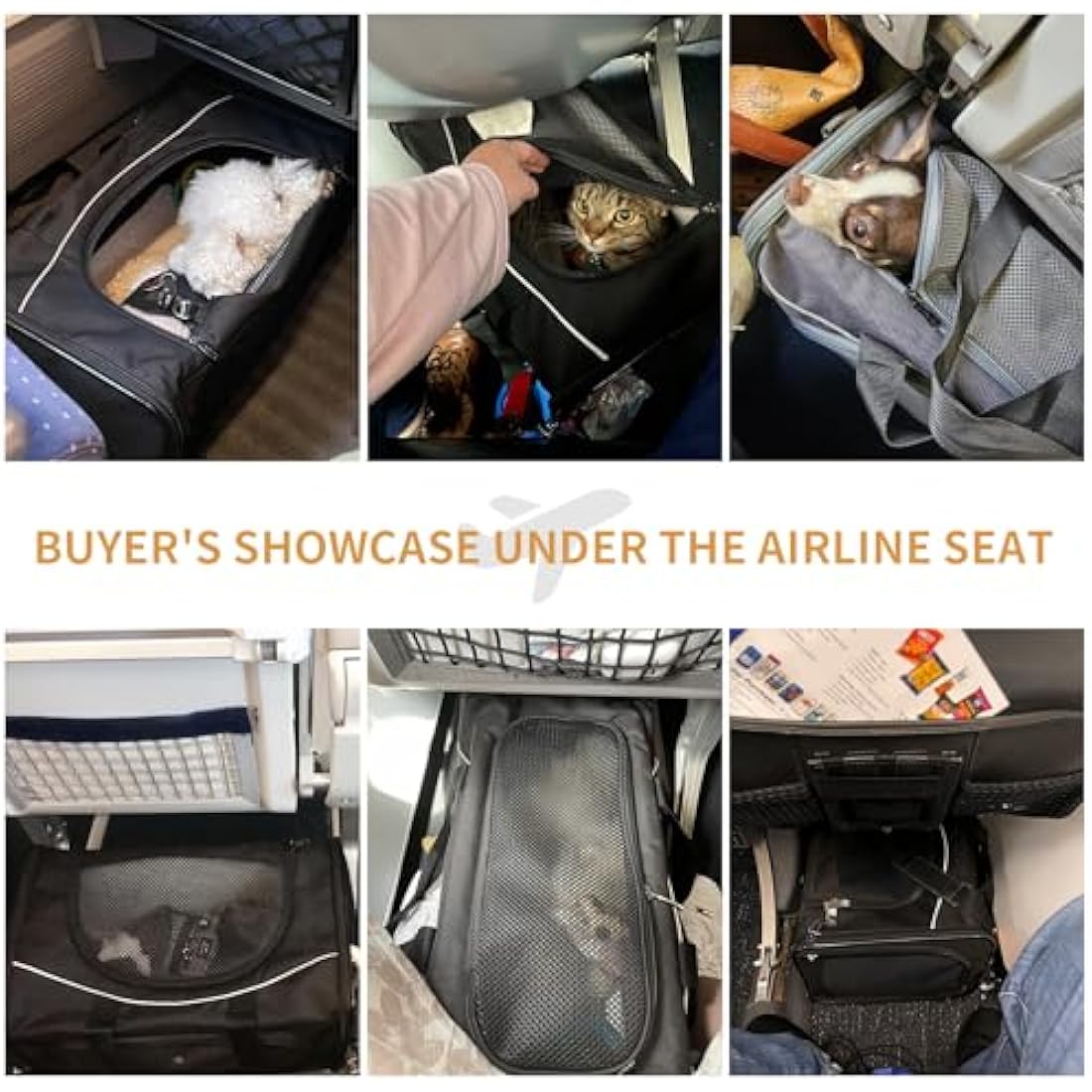 Petsfit Cat Carrier Airline Approved ，Large Cat Carrier,Foldable Cat Carriers Medium Two-Way Placement on Plane for Cats and Small Dogs, Black