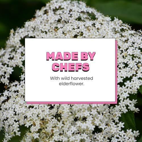 Dalston's Sparkling Elderflower Soda (24 x 330ml) - Real Pressed Elderflower & Sparkling Water - 46 Kcal - No Added Sugar - No Artificial Sweeteners - Healthy Alternative - Low Calorie - Vegan