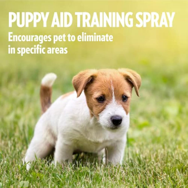 Simple Solution House-Training Aid for Puppies and Dogs - 500ml