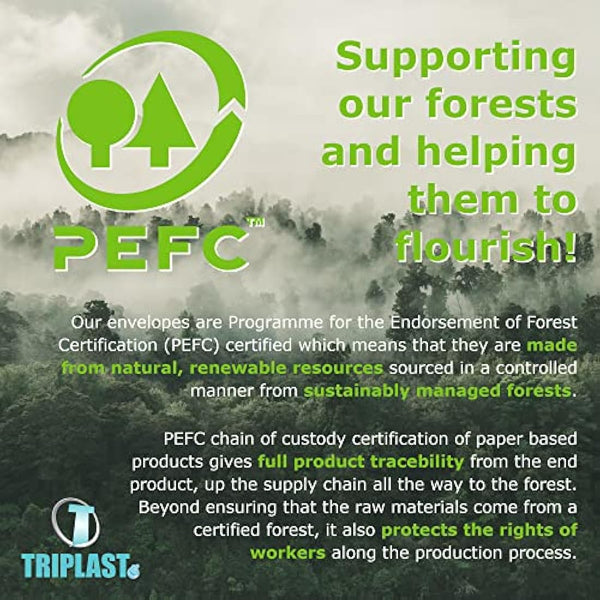 Triplast 100 x C5 White Self Seal Security Envelopes (Size: 229x164mm) | Fully Opaque, Self Sealing & Printer Safe Mailing Paper Envelopes | Ideal for Everyday Home, Office & Commercial Use