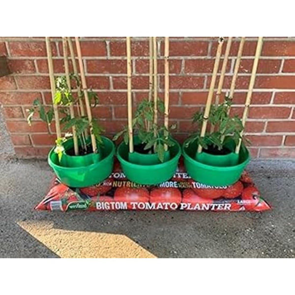 Plant Halos Pots Watering Crop Support Garden Plant Halo (9, GREEN)