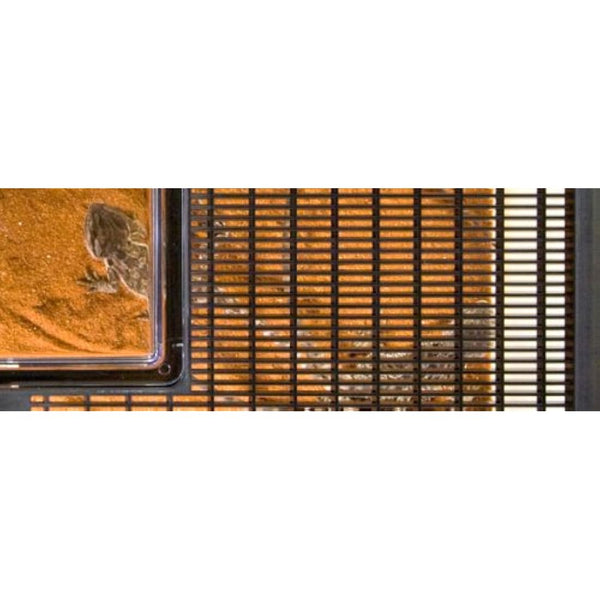 Exo Terra Flat Faunarium Large