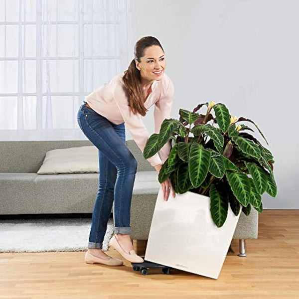 LECHUZA CUBE Premium 50 taupe high gloss 16565