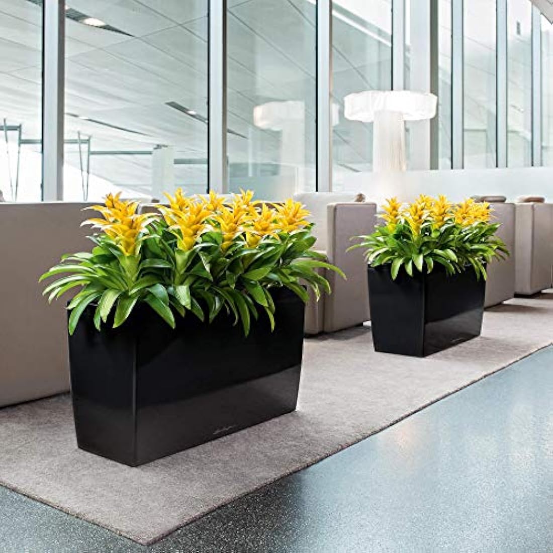 LECHUZA CARARO Premium anthracite metallic 18803