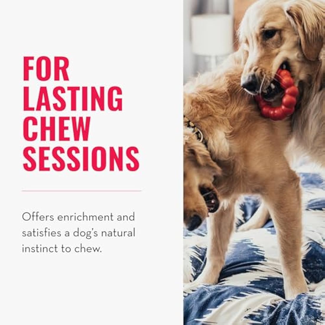 KONG - Ring - Durable Rubber Dog Chew Toy - For Medium/Large Dogs