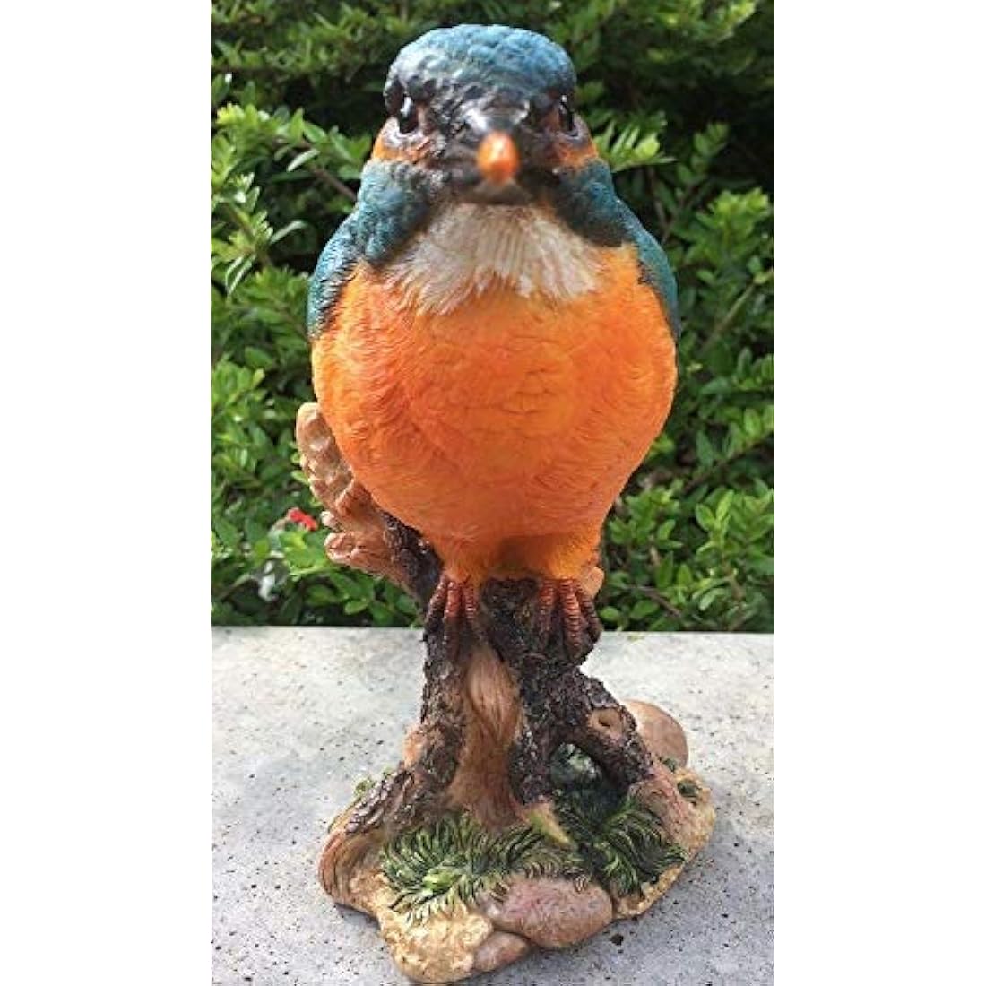 Kingfisher on a Stump, Wild Bird Collection by Vivid Arts