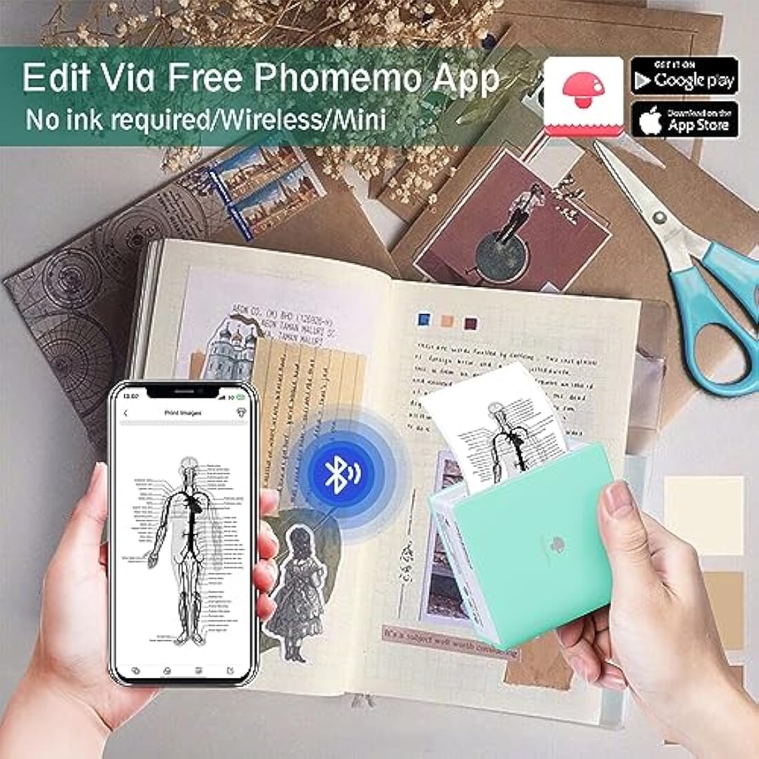 Phomemo Green M02 Mini Printer with 3 Label Rolls, Pocket Printer for iOS and Android Smartphone, Bluetooth Sticker, Printer, Thermal Printer