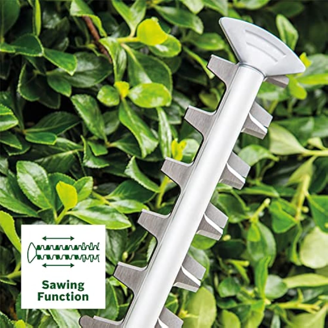 Bosch Cordless Hedge Cutter AdvancedHedgeCut 36V-65-28 (Without Battery, 36 Volt System, Blade Length 65 Cm, in Carton Packaging)