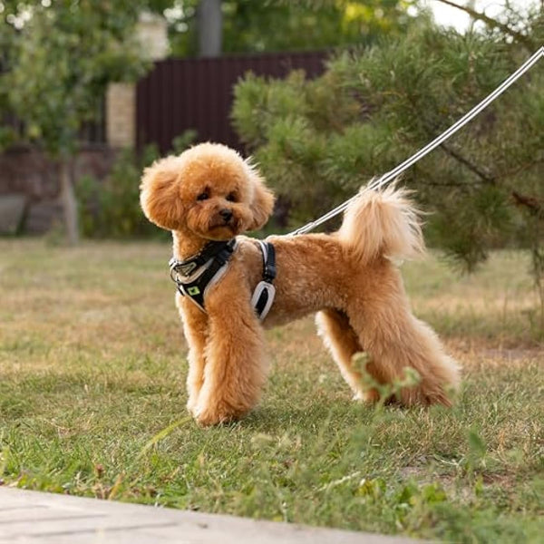 Ferplast Small Size Dog Harness ERGOCOMFORT SMALL, Adjustable Dog Harness, Comfortable, Padded, Double Micro-adjustment Closure, Quick Release, Silver