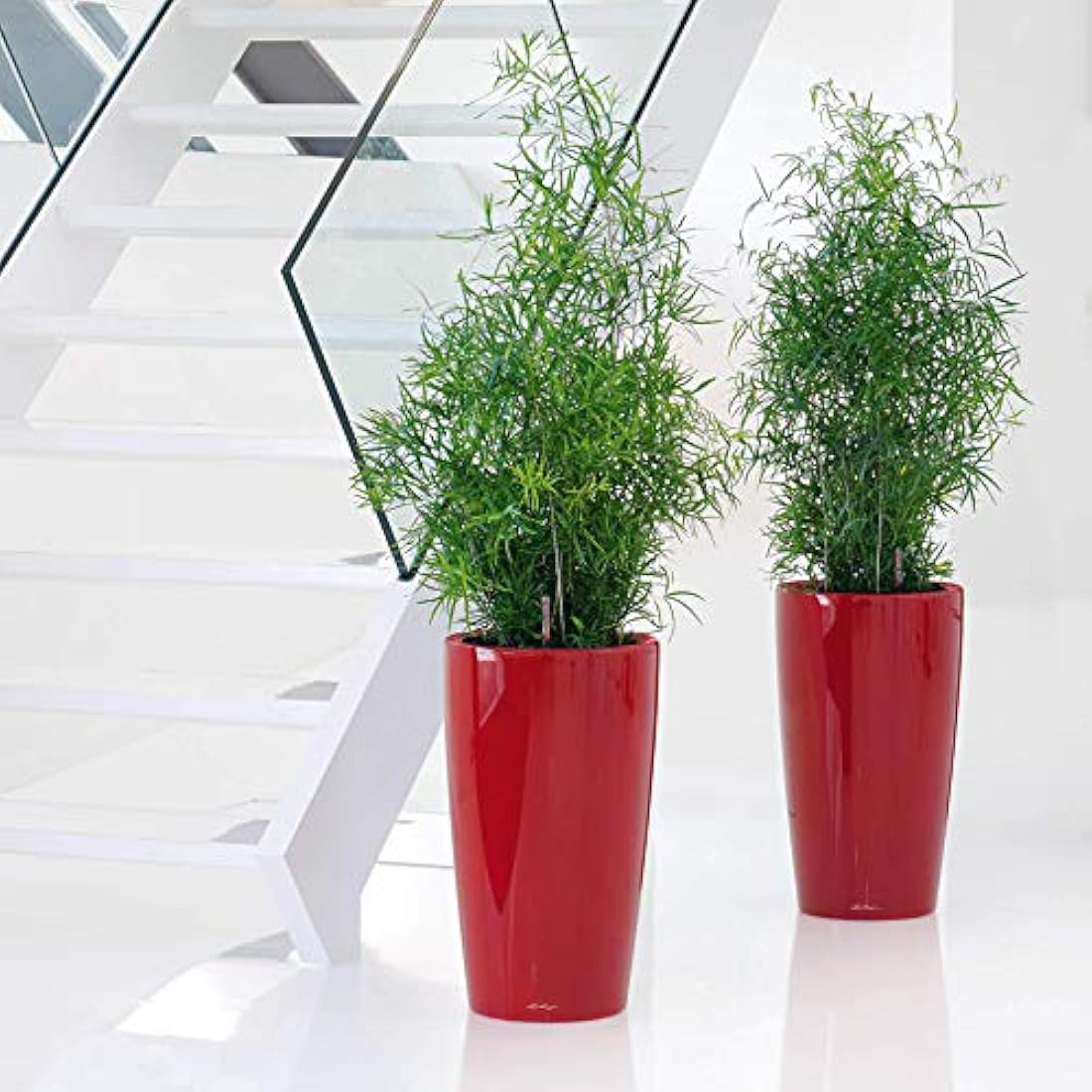 Lechuza RONDO 32 Self Watering Planter Large Plastic Indoor and Outdoor Plant Pot with Drainage Hole D32 H56 cm White High-Gloss