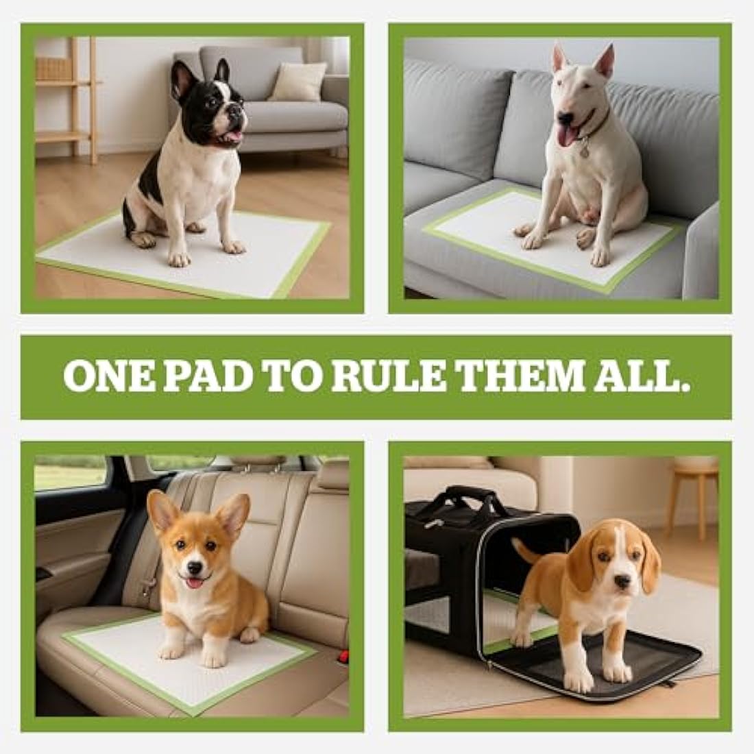 Pogi's Dog Training Pads with Sticky Tabs – Eco-Friendly, Odour Blocking & Super Absorbent – 40-Pack (60 × 60 cm)