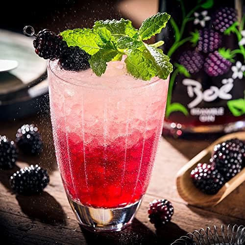 Boë Bramble Gin - Flavoured Gin - 70cl - 41.5% ABV
