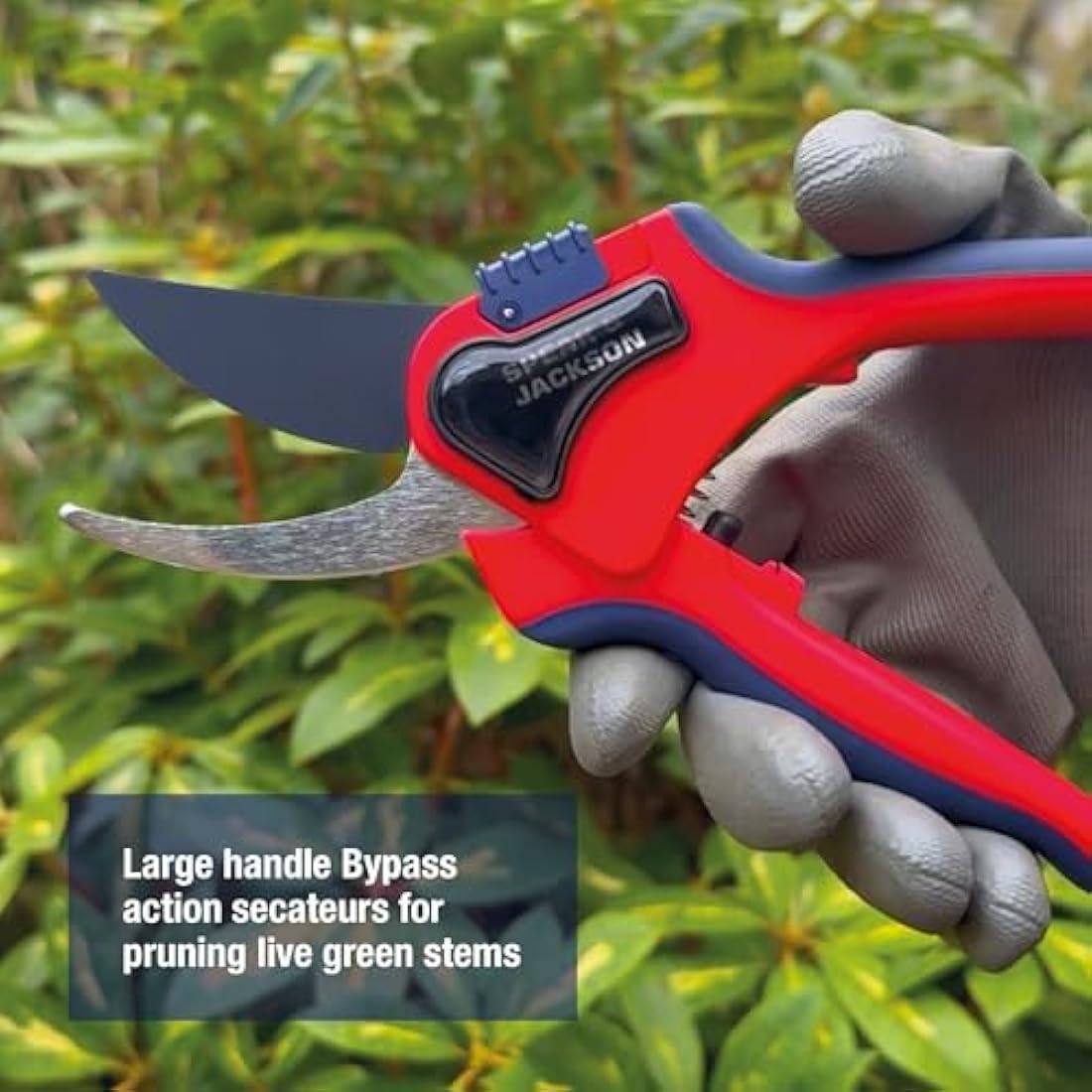 Spear & Jackson 6060BS Razorsharp Advantage Large Bypass Pruning Shear, Blue