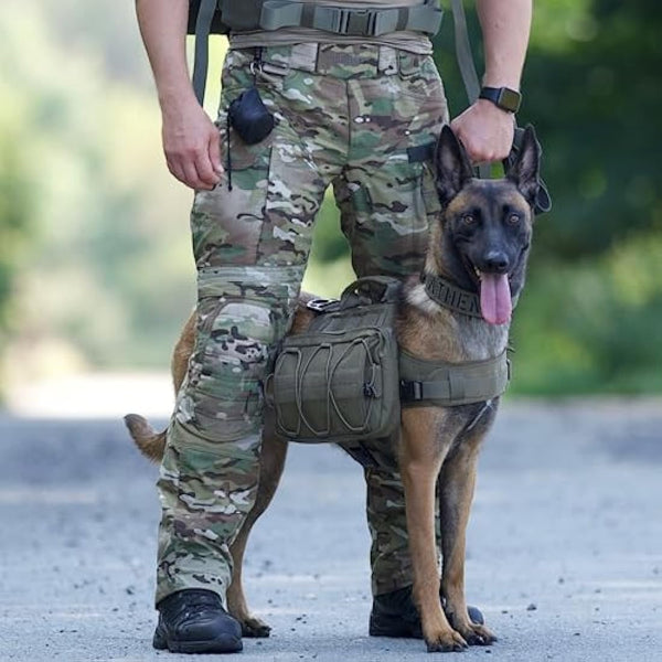 OneTigris Mammoth Dog Backpack 2.0 Version Tear Camping Hiking Dog Backpack for M/L Size Dogs (M, Oliver)