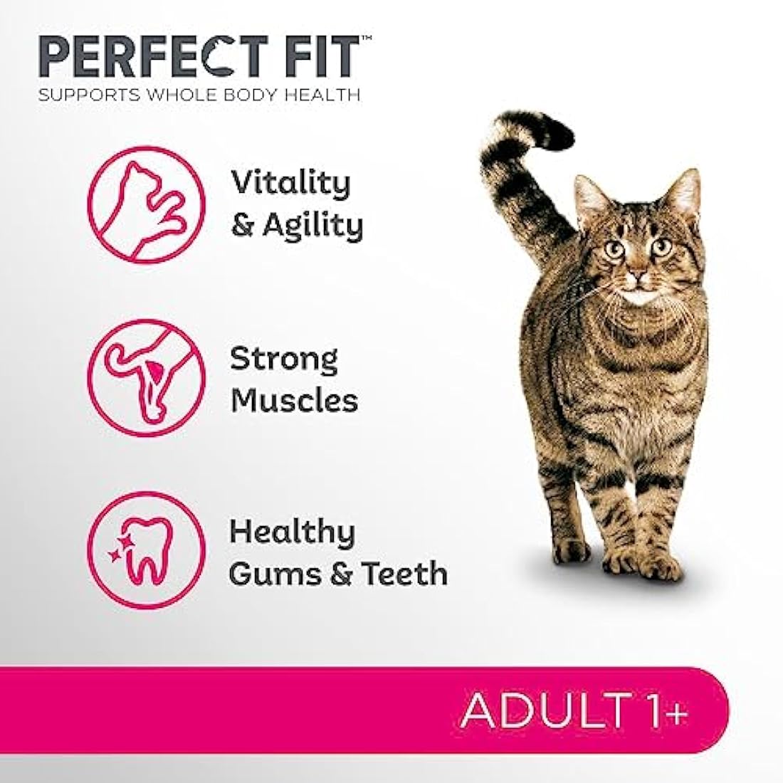 Perfect Fit Adult 1+ Complete Dry Cat Food for Adult Cats Aged 1+ Years, Rich in Chicken, 3 Bags (2.8 kg)