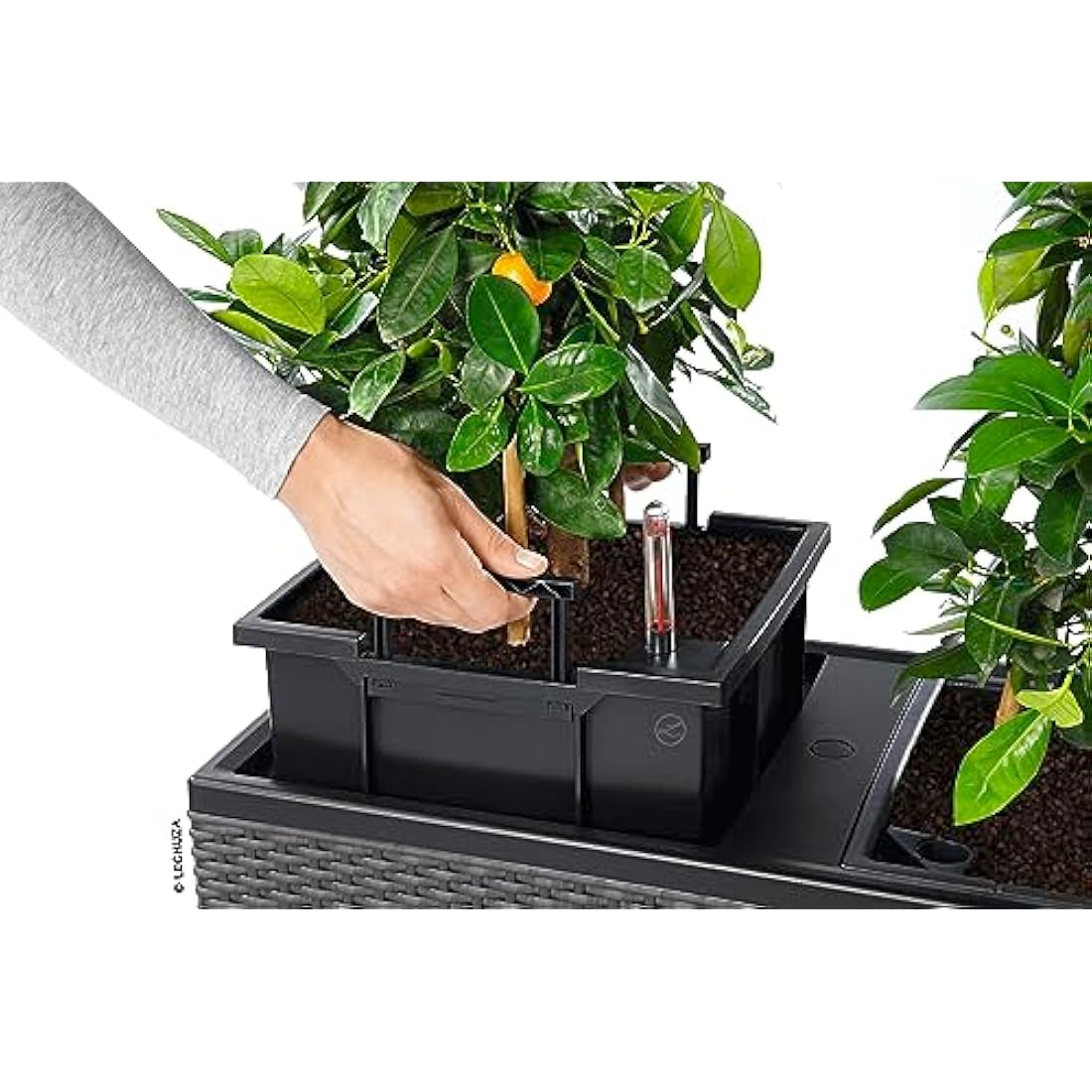 LECHUZA TRIO Cottage 30 sandy brown 15006