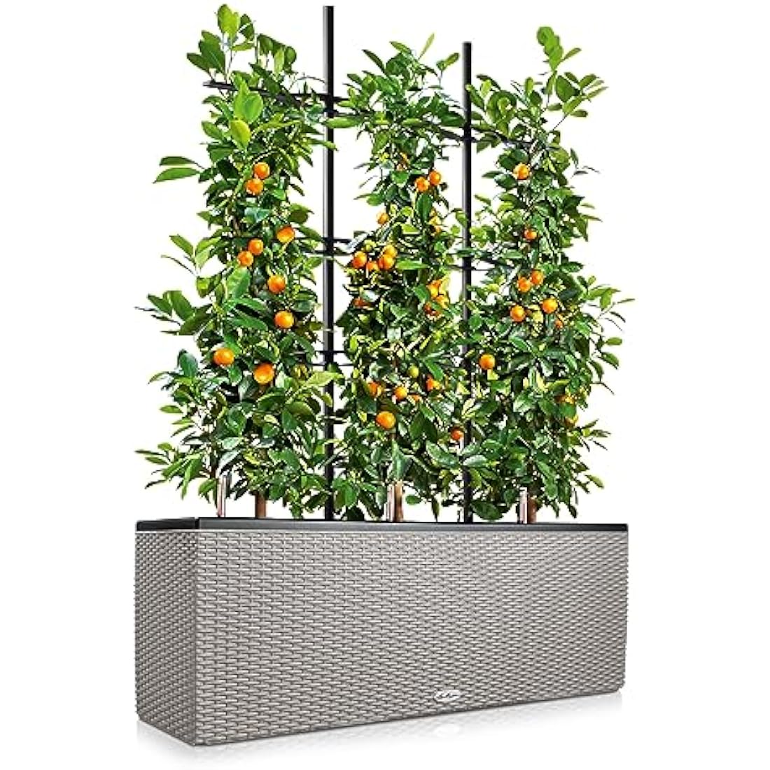 LECHUZA TRIO Cottage 30 sandy brown 15006