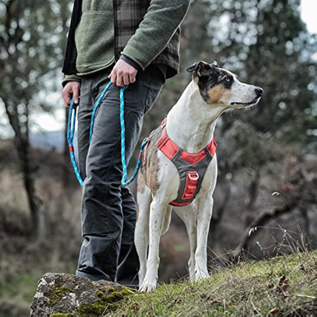 Kurgo Journey Air Harness, Coral, S