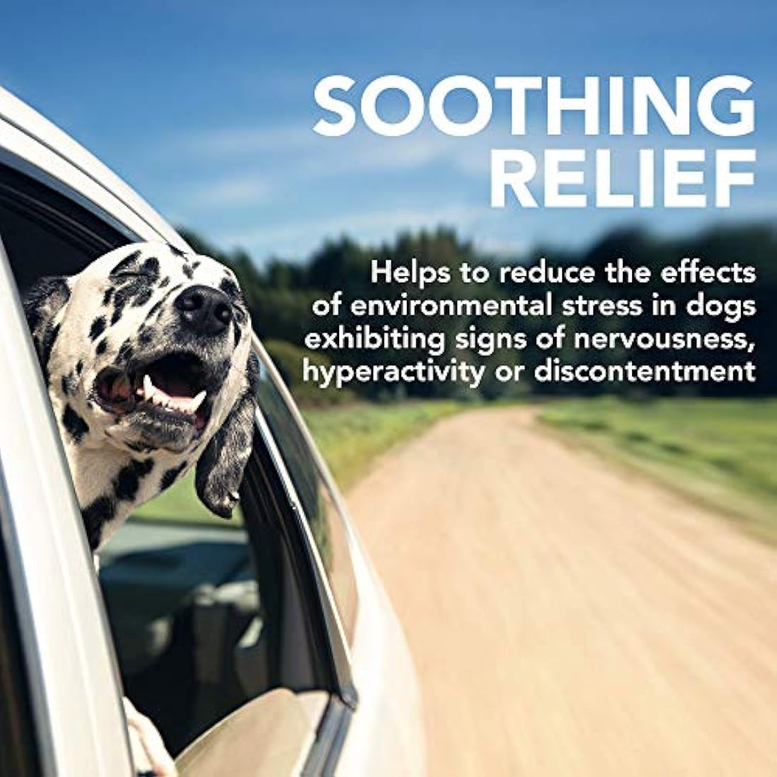 Vet's Best Comfort Calm Calming Dog Supplements | Dog Calming Aid | Promotes Relaxation and Balanced Behaviour | 60 Chewable Tablets