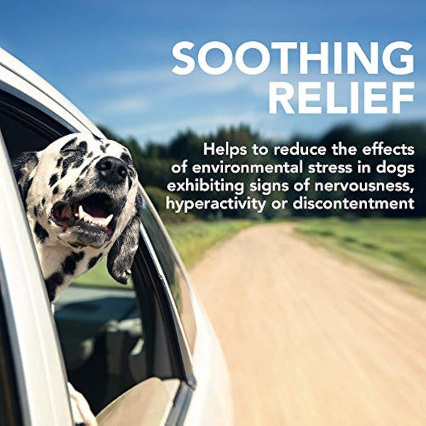 Vet's Best Comfort Calm Calming Dog Supplements | Dog Calming Aid | Promotes Relaxation and Balanced Behaviour | 60 Chewable Tablets