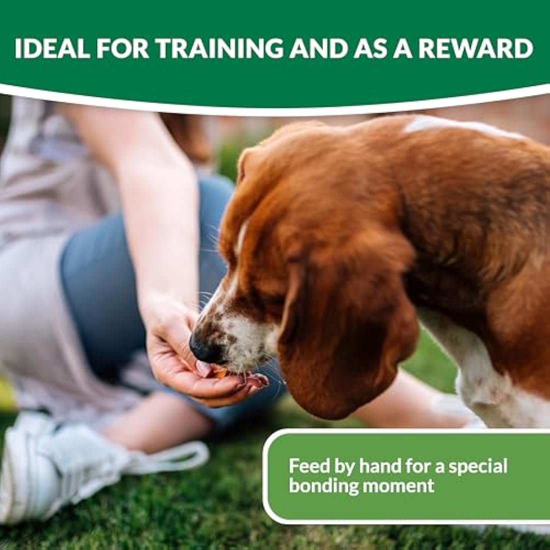 Churu Bites by INABA Dog Treat - Chicken & Cheese Flavour 8 Pack (64 x 12g total) / Crispy Pouches with Creamy Filling, Delicious & Healthy Snack for Dogs, Training Treat, Natural, Grain Free