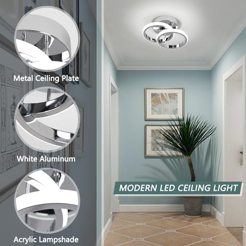 EIDISUNY LED Ceiling Light Modern 24cm Silver Round Simple Ceiling Lig ht Fixture LED for Corridor Kitchen Stairs Hallway Study Room Bedroom Living Roo m - Chrome 22W Cool White Light 6000K