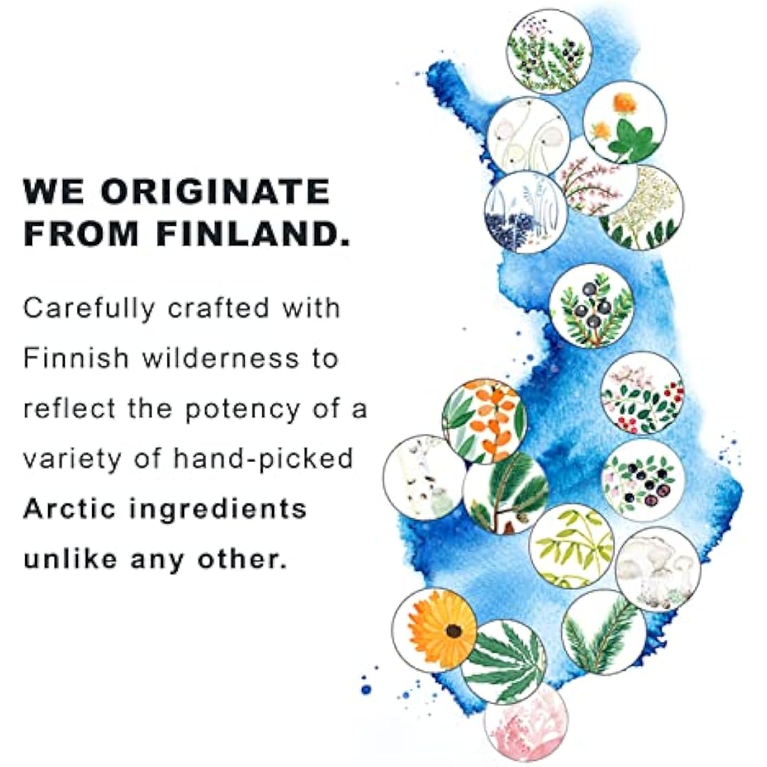 Nordic Hydra [LAHDE] by Lumene Intense Hydration Moisturizer 50ml