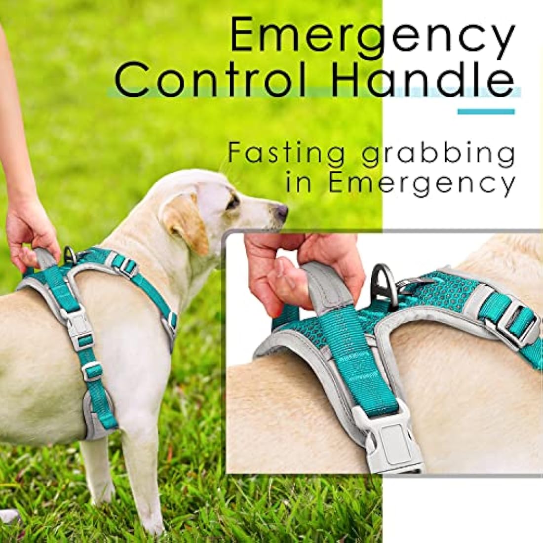 ThinkPet No Pull Harness Breathable Sport Harness with Handle-Dog Harnesses Reflective Adjustable for Medium Large Dogs,Back/Front Clip for Easy Control S Bright Teal