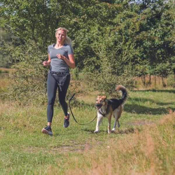 Waist Belt with Lead for Medium-Sized and Large Dogs