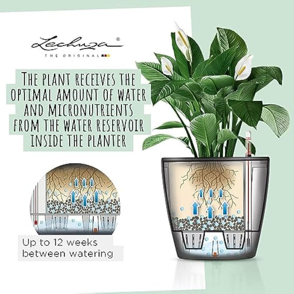 Lechuza Self Watering Plant Pot CLASSICO 50 LS Garden Flower Indoor and Outdoor Plastic Planter with Drainage Hole D50 H47 cm Black High-Gloss