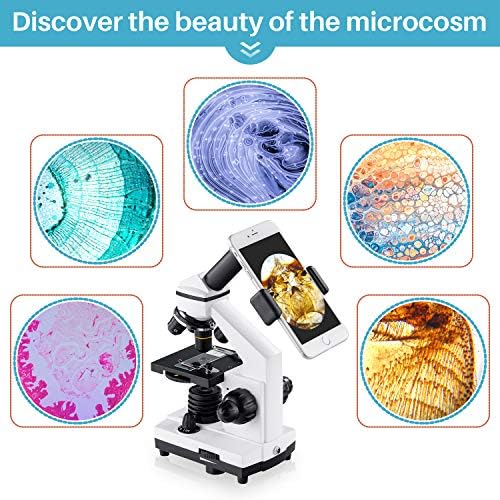 BEBANG 100X-2000X Microscope for Kids Adults, Professional Biological Microscope Kit for Students School Laboratory