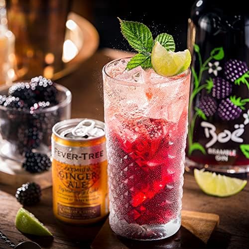 Boë Bramble Gin - Flavoured Gin - 70cl - 41.5% ABV