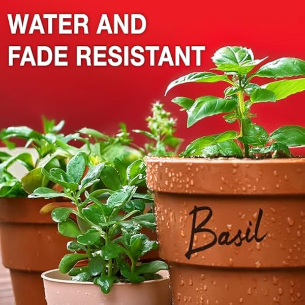 Sharpie Permanent Markers | Fine Point for Bold Details | Assorted Colours | 12 Marker Pens