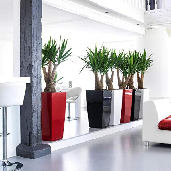 LECHUZA CUBICO Premium 40 white high gloss 18191