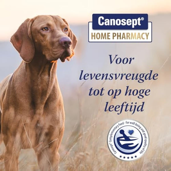 Canosept dog joint tablets - Joint Care for dogs - Unique formula: With green lipped mussel for dogs, glucosamine, omega 3 for dogs - hip and joint care for dogs - Excellent acceptance - 80 tablets