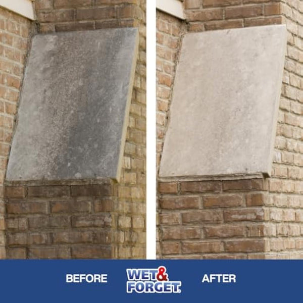 Wet & Forget Rapid Application, Ready-to-Use Mould, Lichen & Algae Remover, Outdoor Patio Cleaner, Black Spot Remover, Bleach Free, 2L