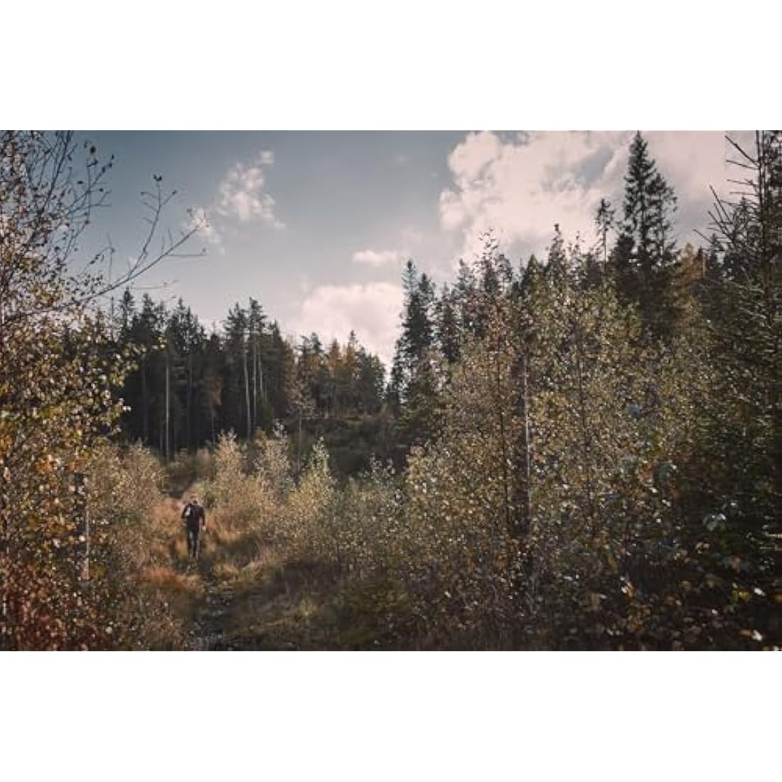 Hultafors 840025 "H 006 SV" Hatchet - Brown