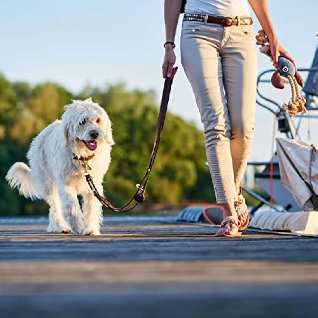 HUNTER Sansibar Solid Dog Collar Leather Heavy Duty Grippy Braided 55 (M) Dark Brown