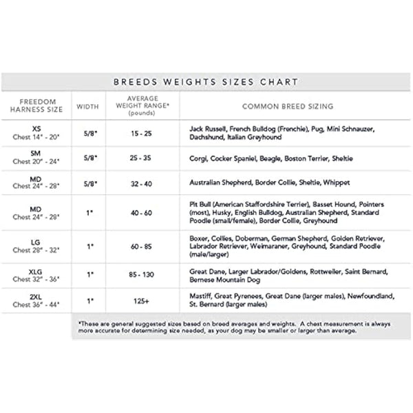 2 Hounds Design Freedom No-Pull Dog Harness with Leash, Medium, 5/8-Inch Wide, Teal