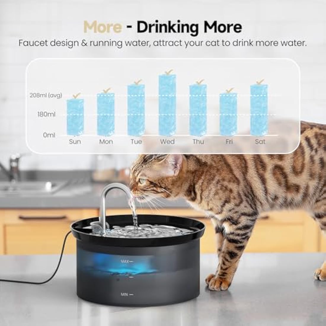 BMDSAE Cat Fountain, Pet Fountain with Ultra Silent Pump, Activated Carbon Filter Keeps Water Clean 2.8 L