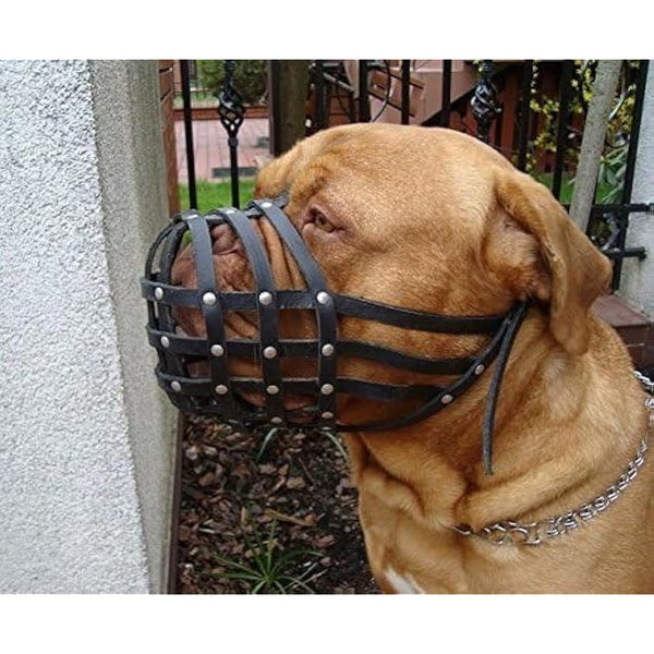 L&J Pets Uk Light leather Dog Muzzle for Dogue de Bordeaux and Bullmastiff and Other (Black Leather, DB2)