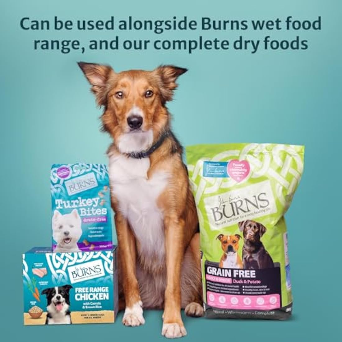 Burns Pet Nutrition Adult and Senior Dog Hypo-allergenic Mixer 2 kg