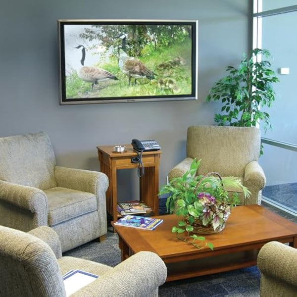 Ergotron WM Low Profile Wall Mount for 32-65 inch Display